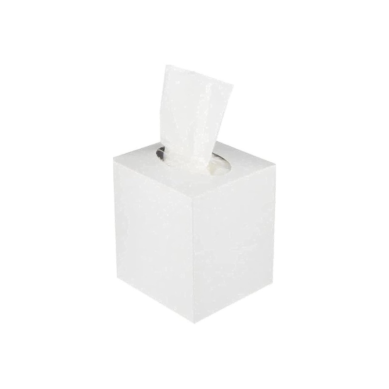 FACIAL TISSUE BOUTIQI U & ME / 2 PLY / 100 SHEET - PCS (FIRST HOMES)