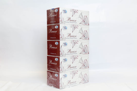 FACIAL TISSUE BREEZE  / 2 PLY / 200 SHEET - PCS (ARABIAN IND GAS)
