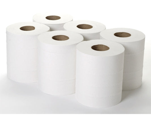 MAXI ROLL EASY CORE 2-PLY  REGULAR PACK 6 PC - CTN (ARABIAN IND GAS)