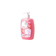HAND WASH V CARE CHANETTE 500 ML - PCS ( EATON FZE)