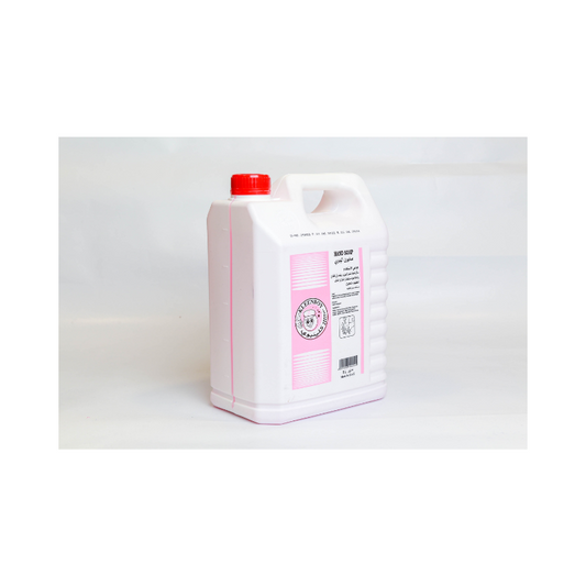HAND WASH KLEENBOY 5 LITER  - PCS (DETECH)