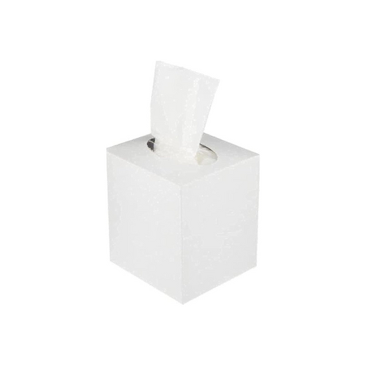 FACIAL TISSUE BOUTIQI U & ME / 2 PLY / 100 SHEET - PCS (FIRST HOMES)