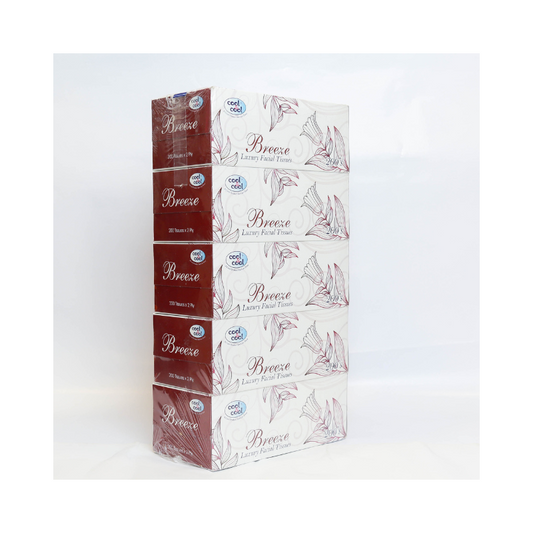 FACIAL TISSUE BREEZE  / 2 PLY / 200 SHEET - PCS (ACWA)